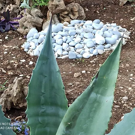 Lägenhet Mislav Slatine