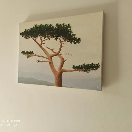 Mislav Apartament *