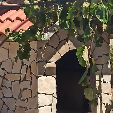 Mislav