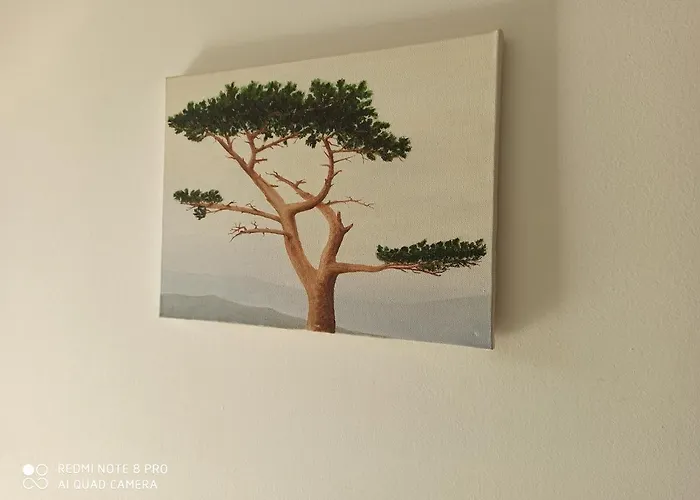 Mislav Apartamento *