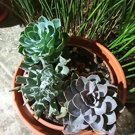 Mislav Apartmán Slatine